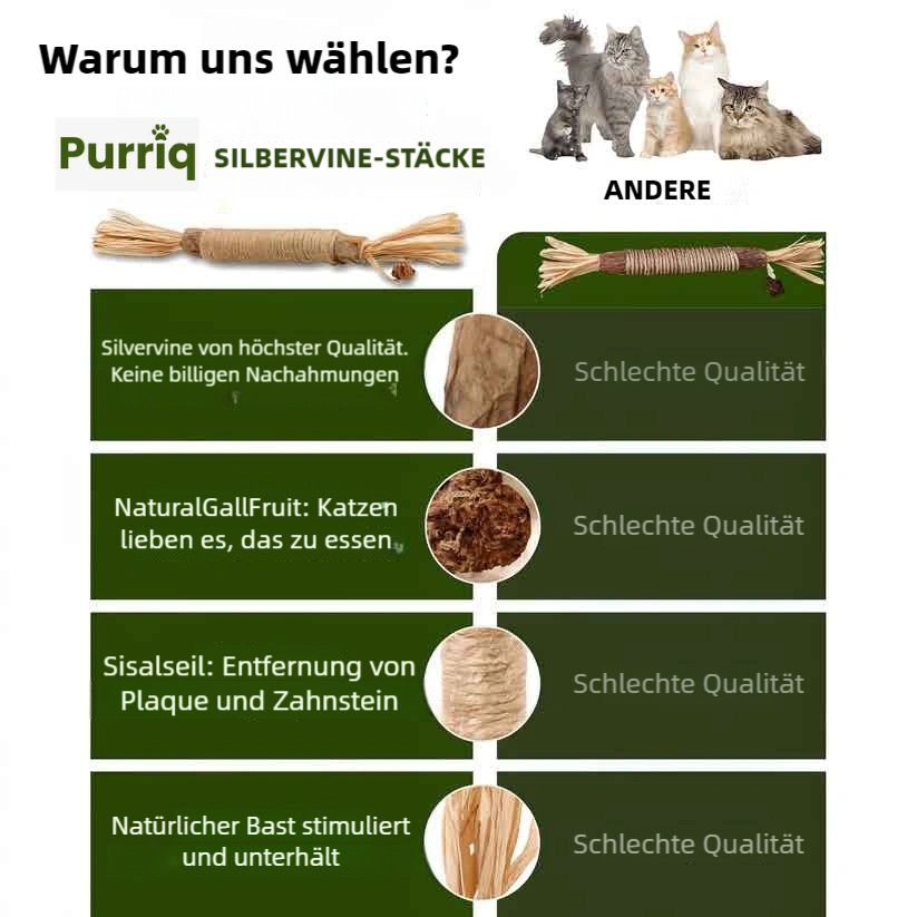 Purriq Natürliche Silvervine-Zahnsticks