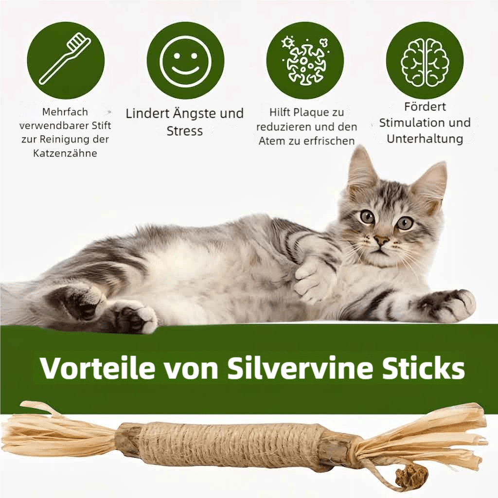 Purriq Natürliche Silvervine - Zahnsticks - Ma boutique