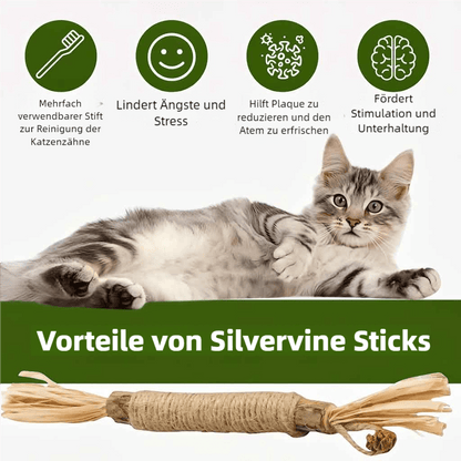 Purriq Natürliche Silvervine - Zahnsticks - Ma boutique