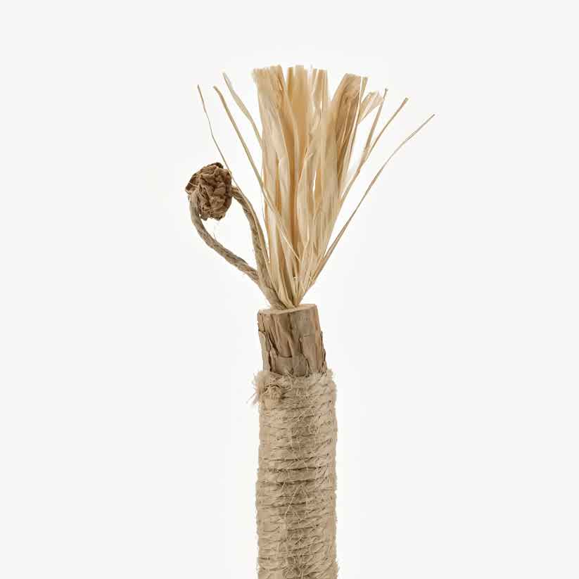 Purriq Natürliche Silvervine - Zahnsticks - Ma boutique