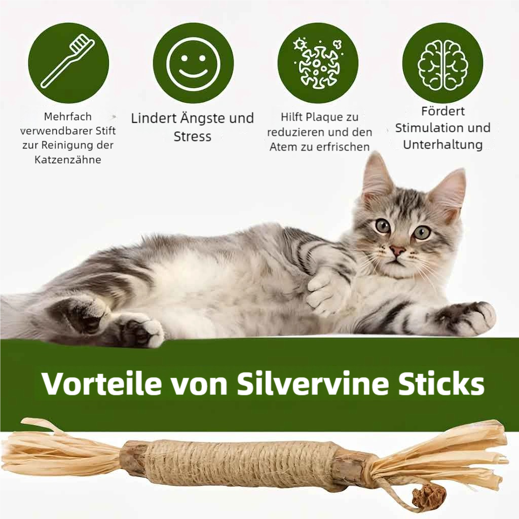 Purriq Natürliche Silvervine-Zahnsticks