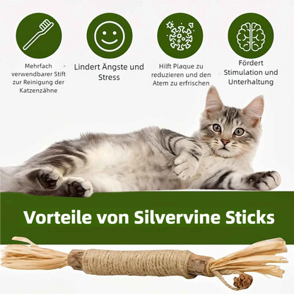 Purriq Natürliche Silvervine-Zahnsticks