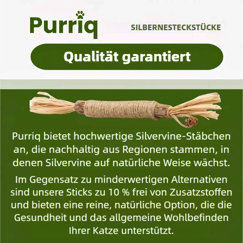 Purriq Natürliche Silvervine-Zahnsticks